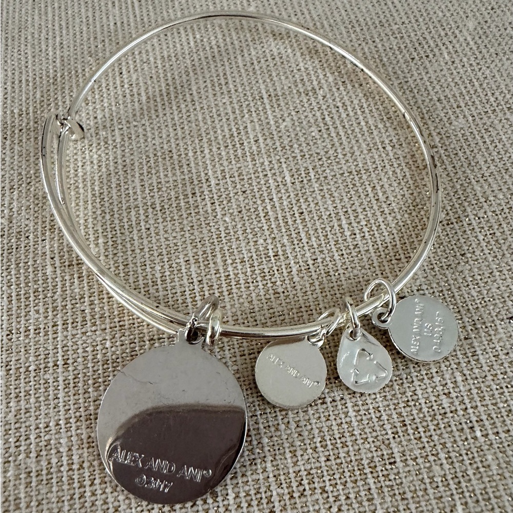 Silver Tone Expandable Bracelet with Red 'LOVE is all you need' Paw Print Charm - Picture 2 of 3